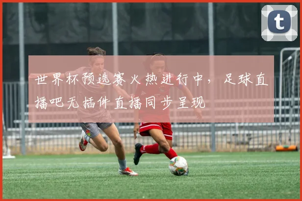 世界杯预选赛火热进行中，足球直播吧无插件直播同步呈现