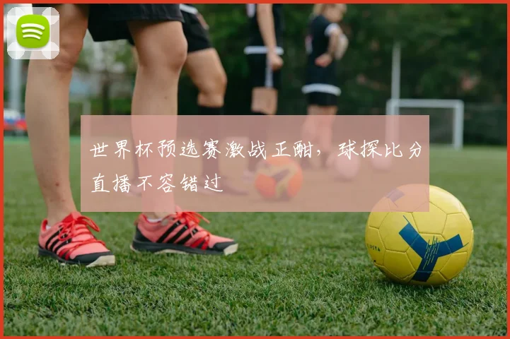 世界杯预选赛激战正酣，球探比分直播不容错过