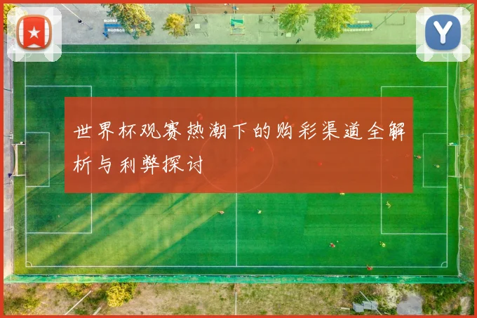 世界杯观赛热潮下的购彩渠道全解析与利弊探讨