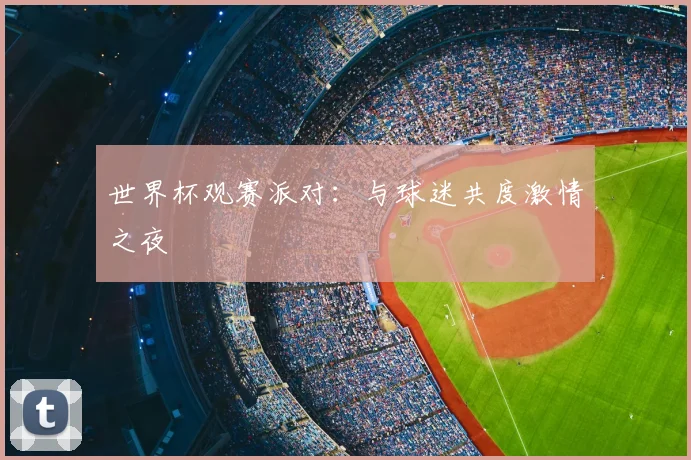 世界杯观赛派对：与球迷共度激情之夜