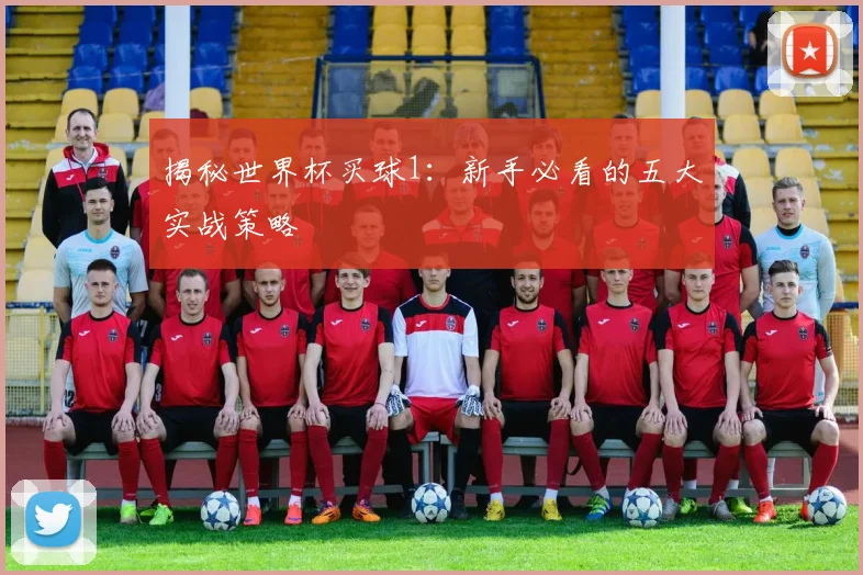 揭秘世界杯买球1：新手必看的五大实战策略