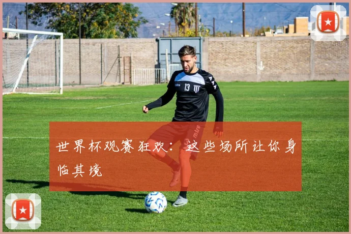 世界杯观赛狂欢：这些场所让你身临其境
