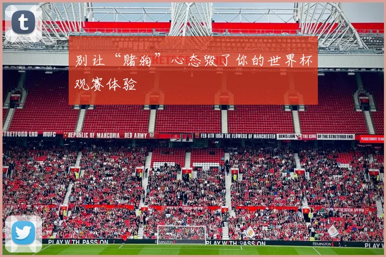 别让“赌狗”心态毁了你的世界杯观赛体验