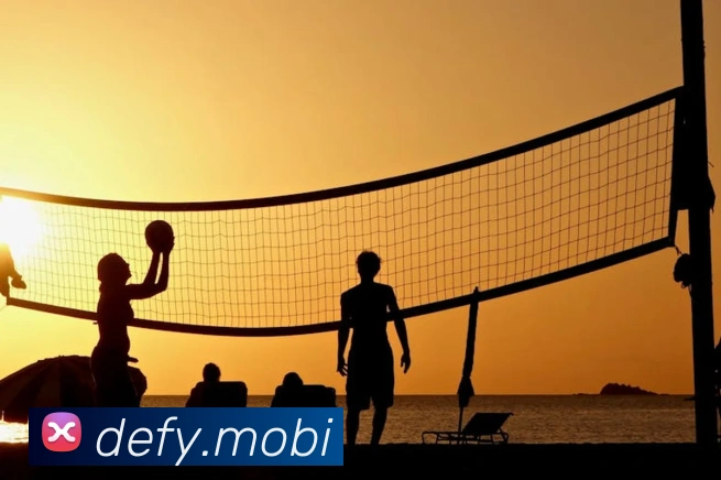 App Interface Preview